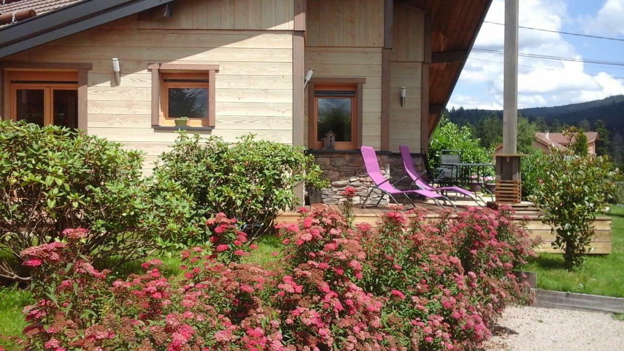 Chalet La Petite Perle Gérardmer Exterior foto